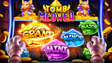 Live casino experience